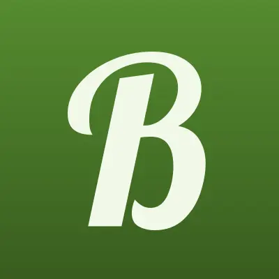 БУХГАЛТЕРСКИЙ ЦЕНТР, лого-визитка