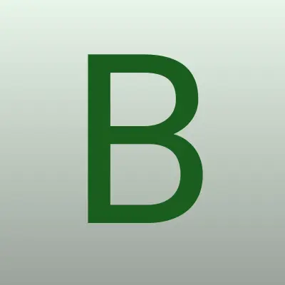 Bibson shop, магазин, лого-визитка