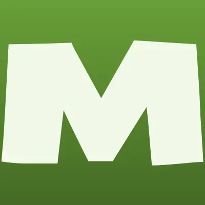 Магазин фейерверков, лого-визитка